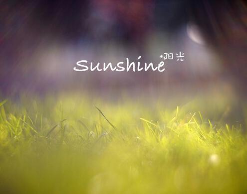    关于阳关的抒情句子  1