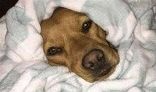 屋里暖气热的说说 暖气太热睡不着的说说