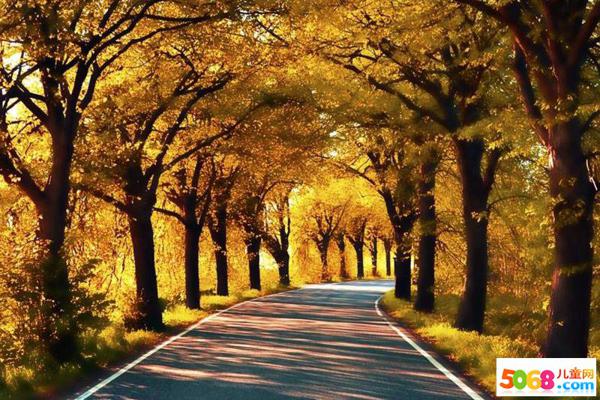 我会精心编织彩色花环