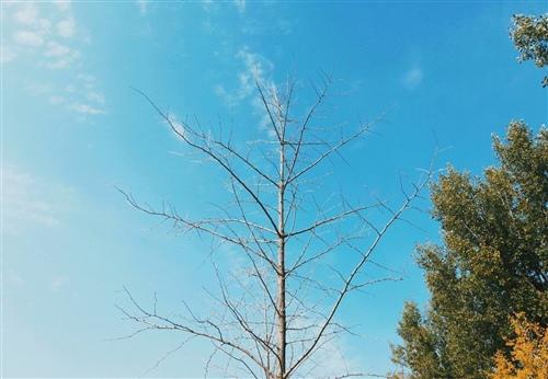 您是否在吃某种食物