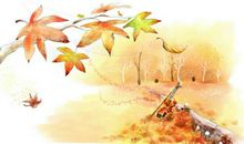 关于秋的抒情句子