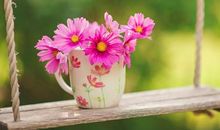 三十多岁女人朋友圈的说说