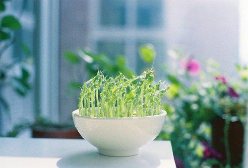 让我们看一下小编在微信上发表的一些情感句子