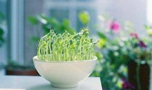 微信说说亲情句子