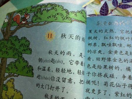   描述秋雨的句子摘录  1