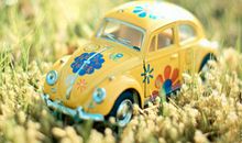 简短搞笑句子：其实我不笨，只是懒得聪明罢了