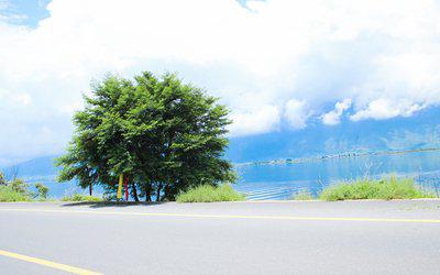 感恩节有关的英文句子 2