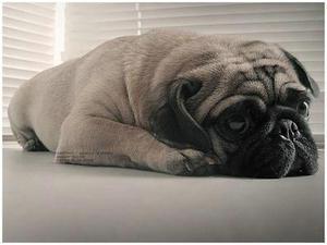    情绪激动时说话  1