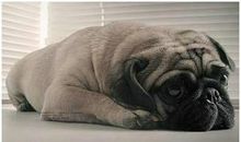 心情烦躁的说说