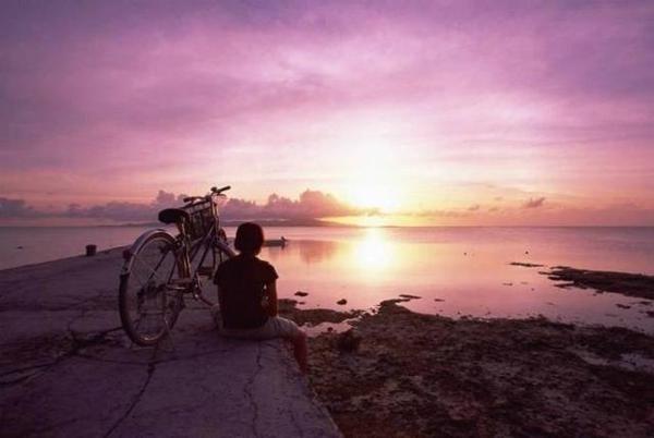 在紫色转瞬即逝的一年里