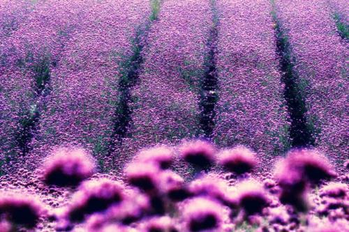 请享受有关饮食的愉快描述的句子