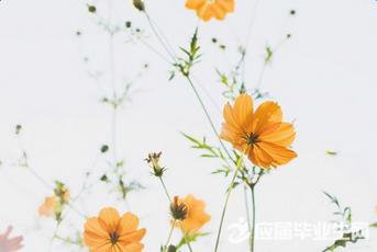 无与伦比的友谊