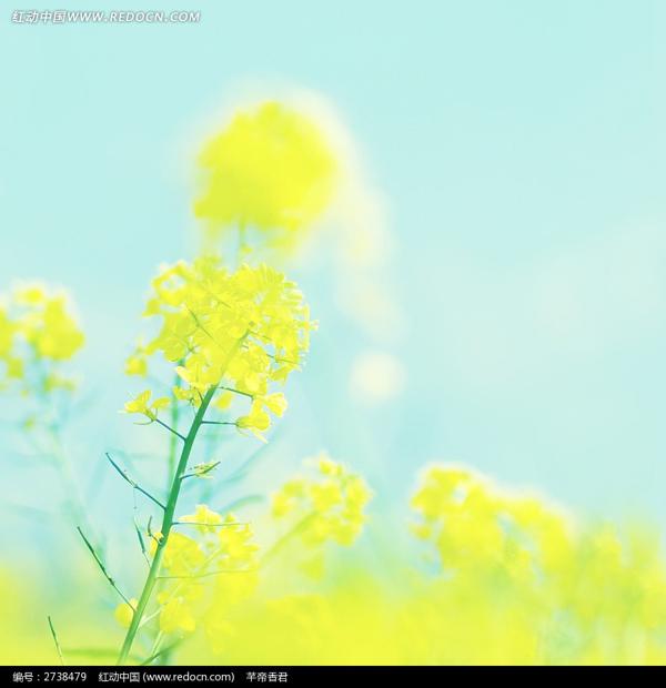 有着千言万语的祝福