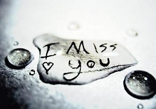    我真的很想念你的句子  1