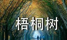 描写春天梧桐树的句子摘抄