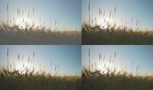 让生活充满阳光的句子说说心情短语