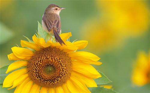 我已经工作一年了