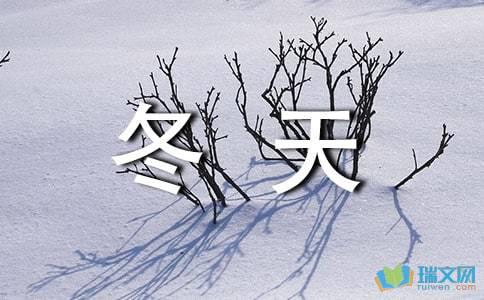 摘自描述冬季风的句子  1