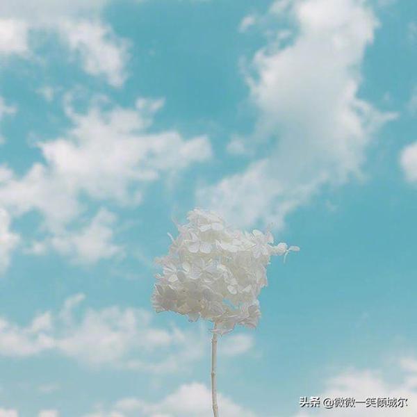 我的祝福在你心中驻扎