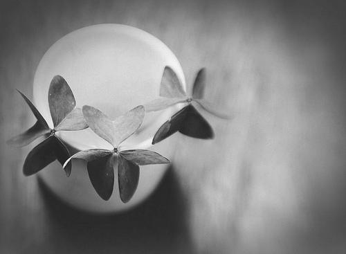 社会发生了许多变化