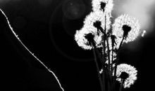 表达对工作失望的句子说说心情