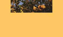 对读书名言感想