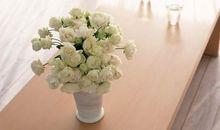 关于亲情的美文句子