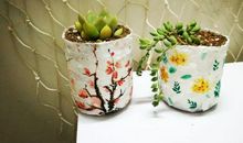 抒写亲情优美的句子