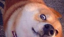 搞笑精辟的说说