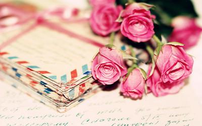 编辑编辑了一些有关超级逗逗女友的句子