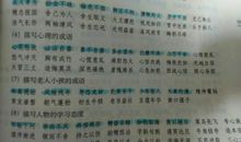 描写妈妈外貌的词语