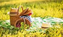 早上发圈的开心句子