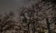 喜欢晚上很安静的说说