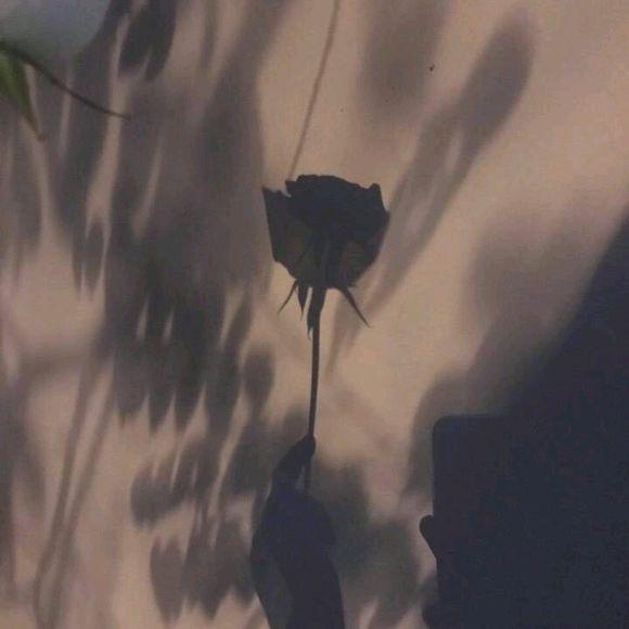 月亮就像刚从天空的东边升起的新daughter妇