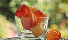 描写人开心高兴的句子