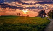 雾霾天气的问候短信