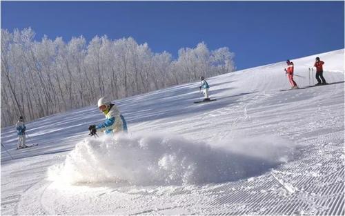 希望每个人都喜欢  1