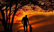 优美的亲情的句子