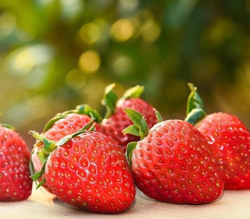 编辑整理了一些描述幸福的好句子