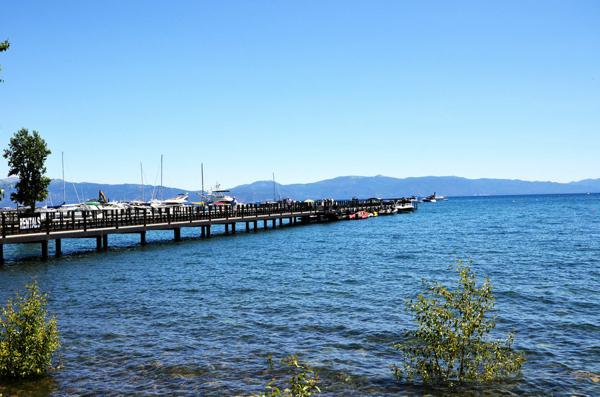 送上我温暖的祝福