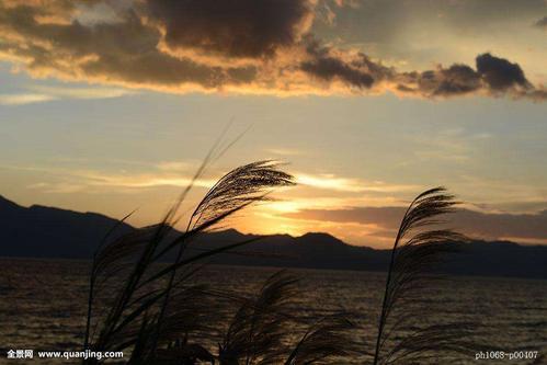 编辑整理了一些关于家庭之爱的文艺句子