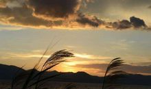 亲情思念的文艺句子