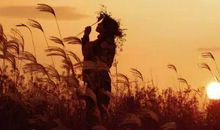 对亲情寄托思念的句子