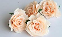 有关亲情的句子较短