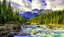 关于毕业季的励志句子