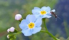 国庆节写什么祝福语好 祝愿国庆节的祝福语