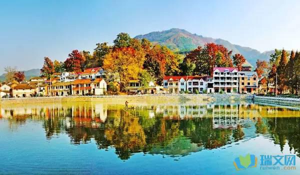 优美的句子总能形容秋天的独特风光