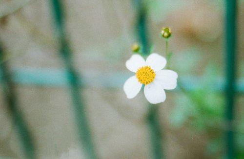 希望每个人都喜欢  1