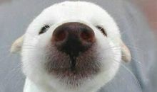 微信幽默段子，微信幽默说说