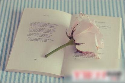 许多单词确实是错误的